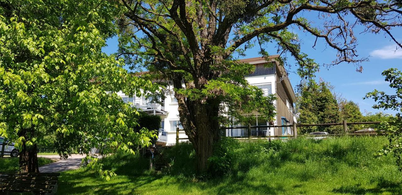Le Panoramic Apartment Bains-les-Bains Exterior photo