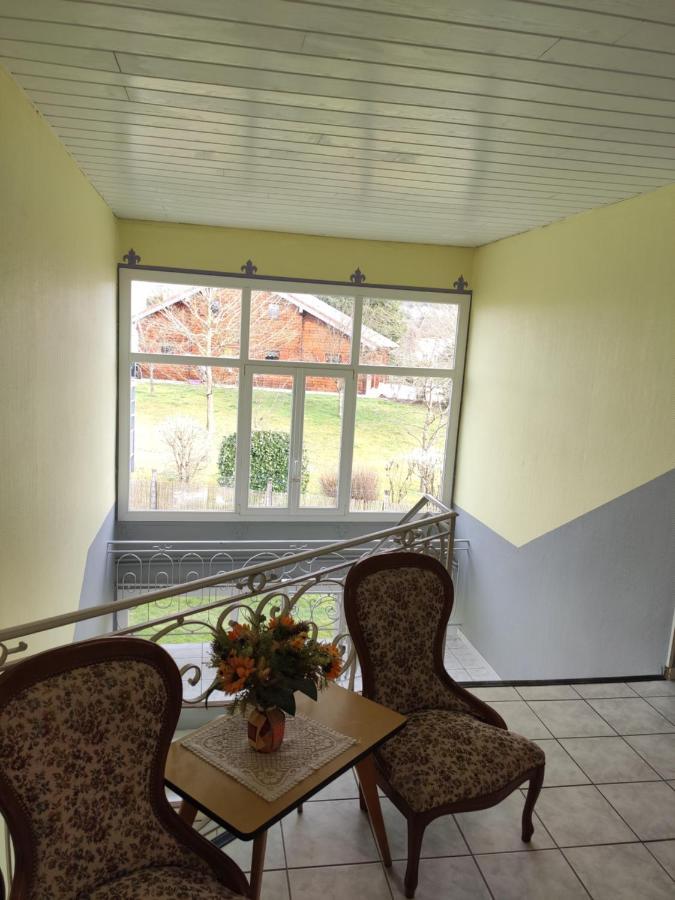 Le Panoramic Apartment Bains-les-Bains Exterior photo